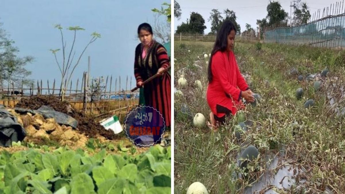 સરકારી નોકરી છોડીને જૈવિક ખેતી શરૂ કરી, હવે નબનીતા તેના ઓર્ગેનિક ફાર્મમાંથી કમાઈ રહી છે લાખો રૂપિયા