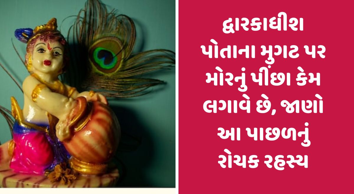 દ્વારકાધીશ પોતાના મુગટ પર મોરનું પીંછા કેમ લગાવે છે, જાણો આ પાછળનું રોચક રહસ્ય