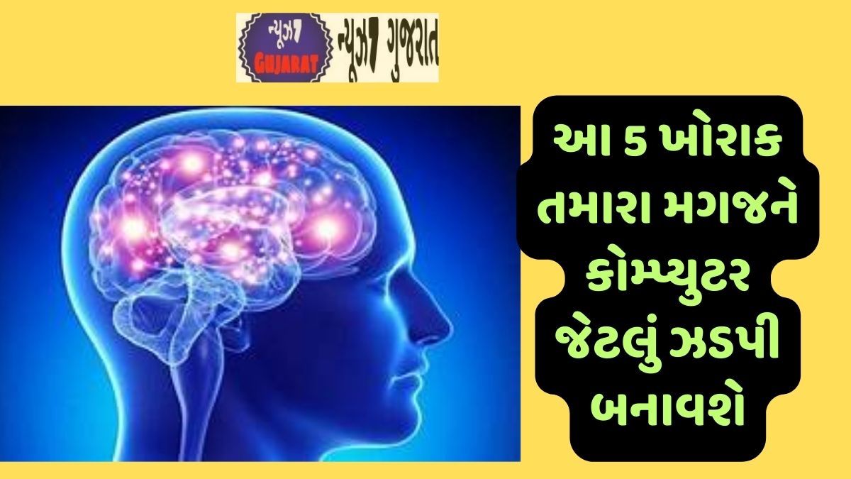 આ 5 ખોરાક તમારા મગજને કોમ્પ્યુટર જેટલું ઝડપી બનાવશે, વિચારવાની અને સમજવાની ક્ષમતા વધશે!